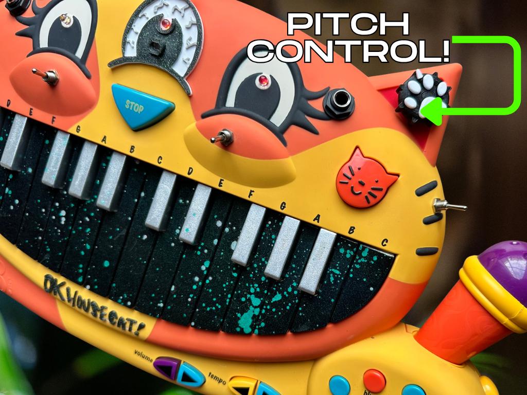 Circuit Bent MEOWSIC: Third Eye Edition ("Amphibian Speckle")