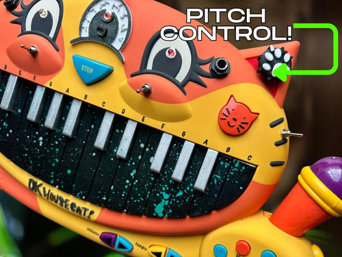 Circuit Bent MEOWSIC: Third Eye Edition ("Amphibian Speckle")