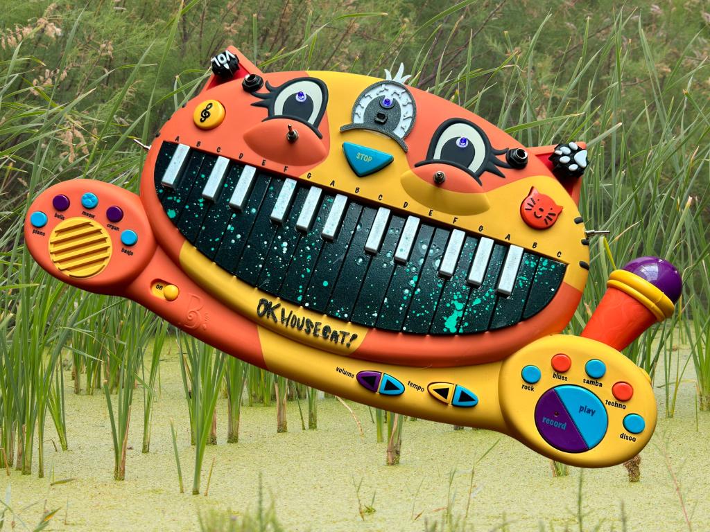 Circuit Bent MEOWSIC: Third Eye Edition ("Amphibian Speckle")