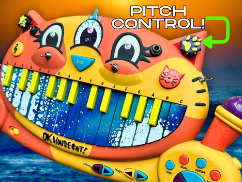 Circuit Bent MEOWSIC: Third Eye Edition ("Blueberry Shoreline")