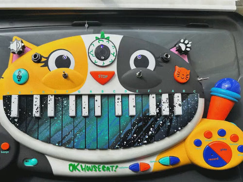 Circuit Bent MEOWSIC: Third Eye Edition ("Cosmic Mint")