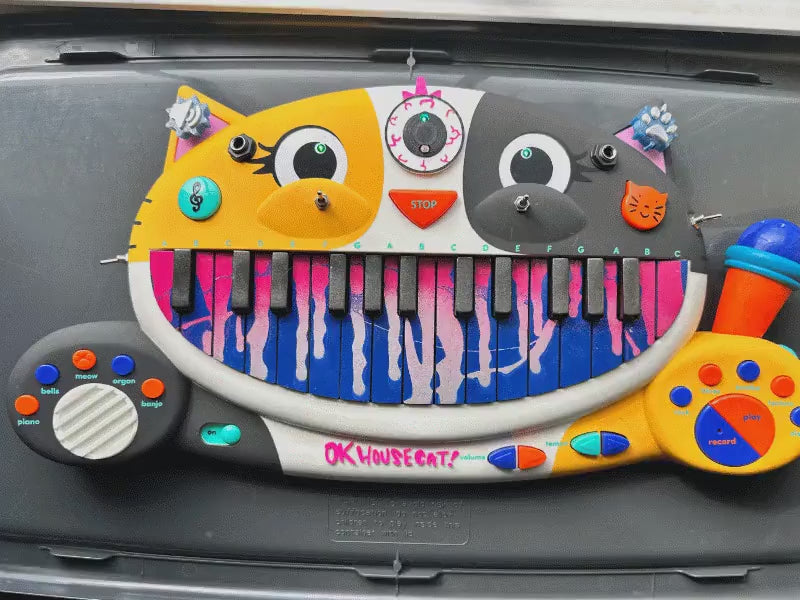 Circuit Bent MEOWSIC: Third Eye Edition ("Dungeon Plum")