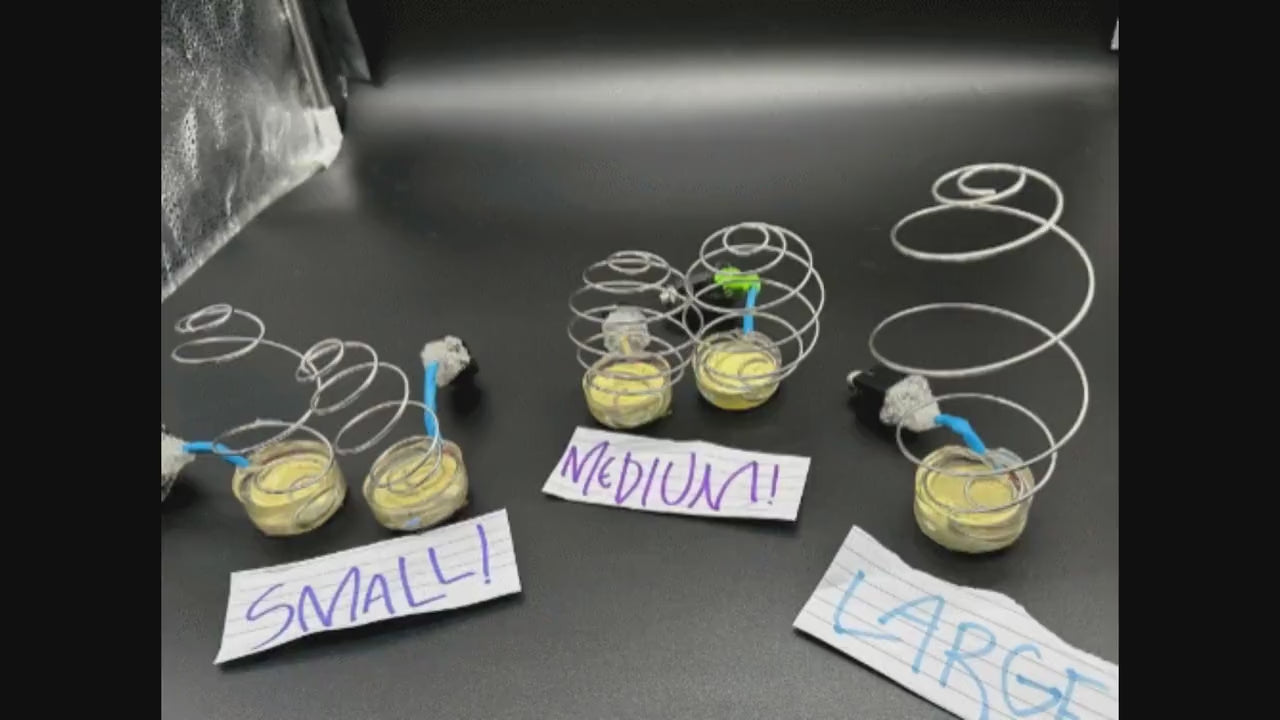 Epoxy Spring Drum: Compact Size, Huge Sound